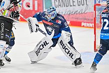 Eishockey, Herren, DEL, Saison 2024-2025, Spieltag 11, ERC Ingolstadt - Pinguins Bremerhaven, 20.10.2024