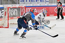 Eishockey, Herren, DEL, Saison 2023-2024, Spieltag 38, ERC Ingolstadt - Adler Mannheim, 14.01.2024