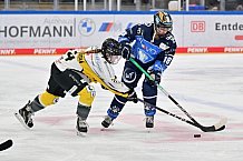 Eishockey, Frauen, DFEL, Saison 2023-2024, ERC Ingolstadt - Mad Dogs Mannheim, 18.02.2024