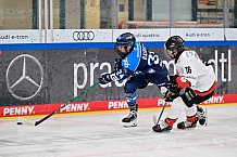 Eishockey, Frauen, DFEL, Saison 2025-2026, ERC Ingolstadt - HK Budapest, 15.11.2025