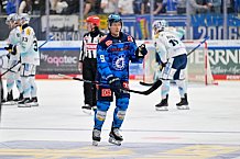 Eishockey, Herren, DEL, Saison 2025-2026, Spiel 23, ERC Ingolstadt - Dresdner Eislöwen, 28.11.2025