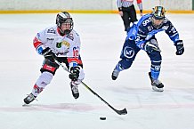 Eishockey, Frauen, DFEL, Saison 2023-2024, ERC Ingolstadt - ECDC Memmingen Indians, 21.01.2024