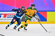 Hockey, Mens, CHL, Season 2025-2026, Regular Season, Game Day 1, ERC Ingolstadt - Ilves Tampere, 28.08.2025
