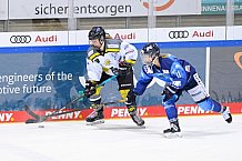 Eishockey, Frauen, DFEL, Saison 2020-2021, ERC Ingolstadt - Mad Dogs Mannheim, 30.01.2021