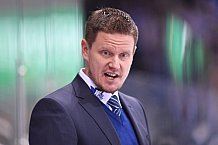 ERC Ingolstadt vs Schwenninger Wild Wings, Eishockey, DEL, Deutsche Eishockey Liga, Spieltag 25, 26.11.2017