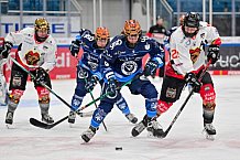 Eishockey, Frauen, DFEL, Saison 2024-2025, ERC Ingolstadt - EC Bergkamener Bären, 04.01.2025