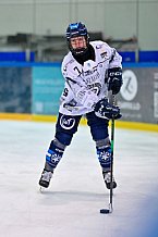 Eishockey, Frauen, DFEL, Saison 2025-2026, Playoffs Halbfinale - Spiel 2, ERC Ingolstadt - HC Davos, 01.03.2026