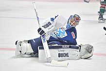 Augsburger Panther vs ERC Ingolstadt, Eishockey, DEL, Deutsche Eishockey Liga, Spieltag 30, 23.12.2016