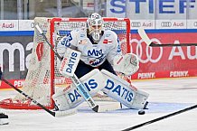 Eishockey, Herren, DEL, Saison 2024-2025, Spieltag 17, ERC Ingolstadt - Adler Mannheim, 17.11.2024