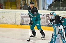 Eishockey, Herren, DEL, Saison 2026-2027, ERC Ingolstadt - HC Verva Litvinov - Steinbach Black Wings Linz, 22.08.2026