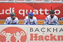 ERC Ingolstadt U20 vs Allstars Panther & Friends, Eishockey, U20, Sonderspieltag, 08.12.2018
