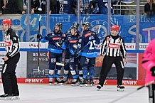 Eishockey, Herren, DEL, Saison 2024-2025, Spieltag 8, ERC Ingolstadt - Grizzlys Wolfsburg, 11.10.2024