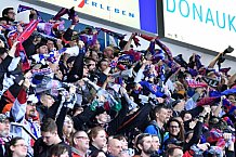 ERC Ingolstadt vs Thomas Sabo Ice Tigers, Eishockey, DEL, Deutsche Eishockey Liga, Spieltag 49, 19.02.2017