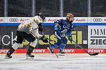 Eishockey, Frauen, DFEL, Saison 2024-2025, ERC Ingolstadt - Mad Dogs Mannheim, 23.11.2024