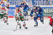 Eishockey, Herren, DEL, Saison 2024-2025, Spieltag 35, ERC Ingolstadt - Augsburger Panther, 10.01.2025