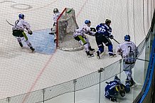 ERC Ingolstadt vs Augsburger Panther, Eishockey, DEL, Deutsche Eishockey Liga, Spieltag 21, 23.11.2016

