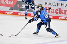 Eishockey, Frauen, DFEL, Saison 2023-2024, ERC Ingolstadt - ESC Planegg-Würmtal, 26.11.2023