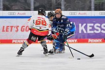 Eishockey, Frauen, DFEL, Saison 2024-2025, ERC Ingolstadt - EC Bergkamener Bären, 12.10.2024