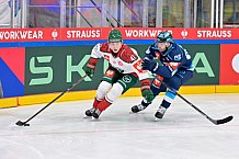 Hockey, Mens, CHL, Season 2025-2026, Quarter-Finals, ERC Ingolstadt - Frölunda Gothenburg, 02.12.2025