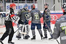 Eishockey, Herren, DEL, Saison 2023-2024, Spieltag 36, ERC Ingolstadt - Kölner Haie, 07.01.2024