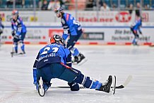 Eishockey, Herren, DEL, Saison 2023-2024, Spieltag 10, ERC Ingolstadt - Nürnberg Ice Tigers, 13.10.2023