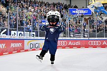 Eishockey, Herren, DEL, Saison 2024-2025, Spieltag 19, ERC Ingolstadt - Grizzlys Wolfsburg, 24.11.2024
