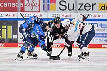 Eishockey, Frauen, DFEL, Playoffs, Saison 2023-2024, ERC Ingolstadt - Eisbären Berlin, 02.03.2024