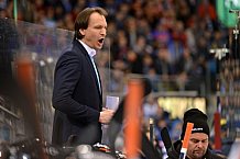 ERC Ingolstadt vs Grizzlys Wolfsburg, Eishockey, DEL, Deutsche Eishockey Liga, 31.01.2016