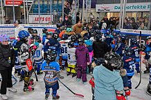 Eishockey, Herren, DEL, Saison 2024-2025, ERC Ingolstadt - Kids On Ice Day, 11.01.2025