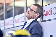 ERC Ingolstadt vs Adler Mannheim, Eishockey, DEL, Deutsche Eishockey Liga, Spieltag 43, 29.01.2017