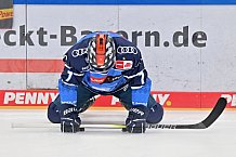 Eishockey, Herren, DEL, Saison 2023-2024, ERC Ingolstadt - Showtraining, 13.08.2023