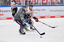 Eishockey, Herren, DEL, Saison 2023-2024, Spieltag 51, ERC Ingolstadt - Kölner Haie, 03.03.2024