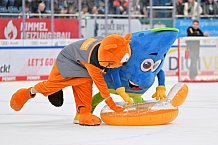 Eishockey, Herren, DEL, Saison 2023-2024, Spieltag 18, ERC Ingolstadt - Eisbären Berlin, 05.11.2023