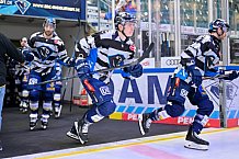 Eishockey, Herren, DEL, Saison 2024-2025, Playoffs Halbfinale, Spiel 5, ERC Ingolstadt - Kölner Haie, 11.04.2025
