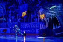 Hockey, Mens, CHL, Season 2025-2026, Regular Season, Game Day 1, ERC Ingolstadt - Ilves Tampere, 28.08.2025