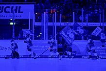 Eishockey, Herren, DEL, Saison 2025-2026, Spiel 43, ERC Ingolstadt - Schwenninger Wild Wings, 25.01.2026
