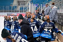Eishockey, Frauen, DFEL, Saison 2024-2025, ERC Ingolstadt - EC Bergkamener Bären, 04.01.2025