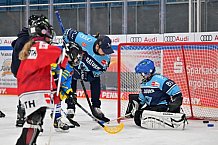 Eishockey, Herren, DEL, Saison 2022-2023, ERC Ingolstadt - Kids On Ice Day, 19.11.2022