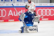 Eishockey, Frauen, DFEL, Saison 2024-2025, ERC Ingolstadt - EC Bergkamener Bären, 05.01.2025