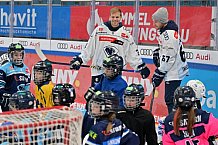 Eishockey, Herren, DEL, Saison 2023-2024, ERC Ingolstadt - Kids on Ice Day, 18.11.2023