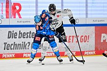 Eishockey, Herren, DEL, Saison 2025-2026, Spiel 16, ERC Ingolstadt - Kölner Haie, 31.10.2025