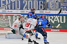 Eishockey, Herren, DEL, Saison 2023-2024, Spieltag 35, ERC Ingolstadt - Augsburger Panther, 05.01.2024