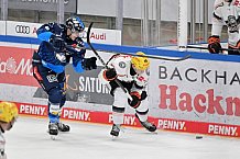 Eishockey, Herren, DEL, Saison 2024-2025, Spieltag 14, ERC Ingolstadt - Löwen Frankfurt, 31.10.2024
