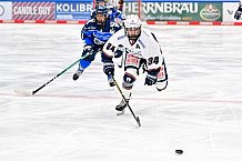 Eishockey, Frauen, DFEL, Saison 2026-2027, ERC Ingolstadt - Eisbären Juniors Berlin, 19.09.2026