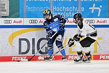 Eishockey, Frauen, DFEL, Saison 2023-2024, ERC Ingolstadt - Amsterdam Tigers, 06.01.2024