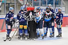 Eishockey, Herren, DEL, Saison 2024-2025, Vorbereitung, ERC Ingolstadt - Dresdner Eislöwen, 18.08.2024