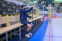 Eishockey, Herren, DEL, Saison 2024-2025, Spieltag 49, ERC Ingolstadt - Straubing Tigers, 28.02.2025