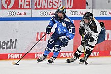 Eishockey, Frauen, DFEL, Saison 2023-2024, ERC Ingolstadt - Amsterdam Tigers, 06.01.2024