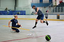 Eishockey, Herren, DEL, Saison 2023-2024, Vorbereitung, ERC Ingolstadt - Leistungstest, 05.08.2023