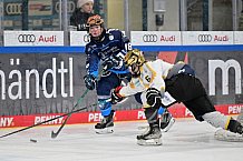 Eishockey, Frauen, DFEL, Saison 2024-2025, ERC Ingolstadt - Mad Dogs Mannheim, 23.11.2024